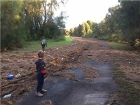 Primbee after the king tide