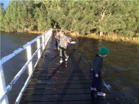 Primbee after the king tide