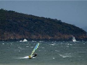 13445420 857957521002802 2032270096608961870 n