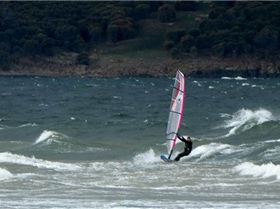 13445543 857958027669418 257867406177374180 n