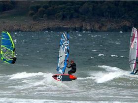 13450216 857957684336119 5720447414261847083 n