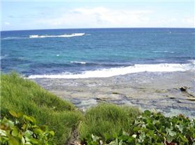 Our backyard view :-(