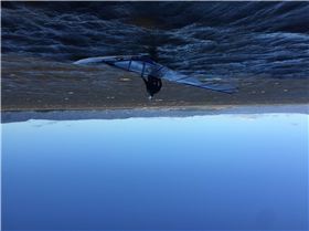 Westerly 23/Jul/2016