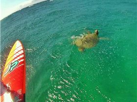 20160727191352-01-01