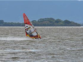 Primbee, Saturday 3rd September