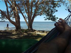 1474509100734-78293545