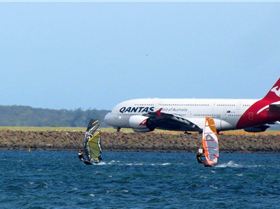 12045471 10153281225327877 382574133652733932 o