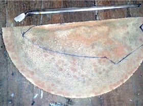 palm, stainless, carbon weedy 1