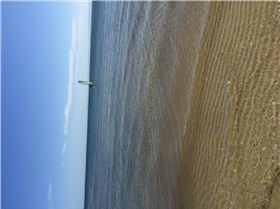 Light wind sailing bongaree