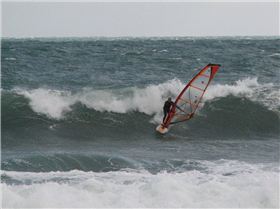 a few people who came over to try out my new paddle pool