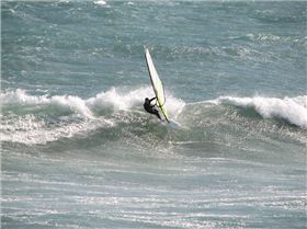 a few people who came over to try out my new paddle pool