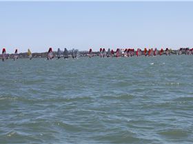 Raceboard Worlds 2016