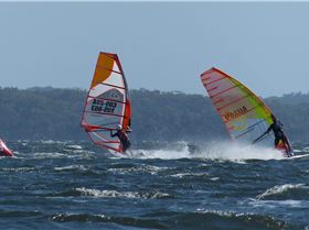 Adrian Bonomi-Mark Trollope