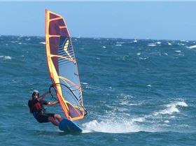 12289516 940923042657669 7538317496550276753 n