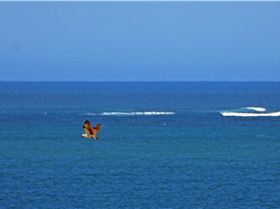 2016 Dez 09 001 bearbeitet-1