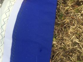 Photo 3-1-17, 4 33 24 pm (1)