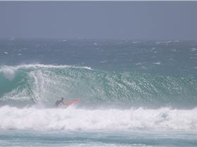 Xmas New years 2016  pics