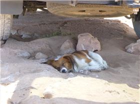 Xmas New years 2016  pics