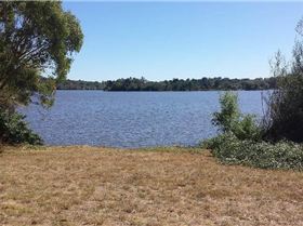 Blue Gum Point, post cleanup 08 February