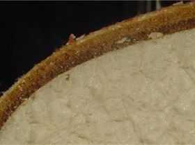 waveboard construction