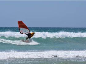 Marti Dolphin Encounter