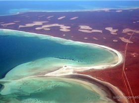 Shark Bay