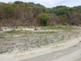 Lake George SA - 1 (2)