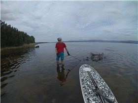 Cleaning Lake Illawarra
