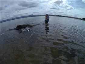 Cleaning Lake Illawarra