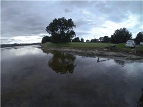 Cleaning Lake Illawarra