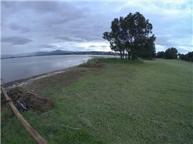 Cleaning Lake Illawarra