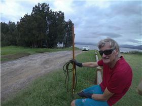 Cleaning Lake Illawarra