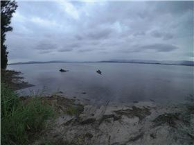 Cleaning Lake Illawarra
