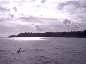 Screen Shot 2017-04-03 at 6.12.25 PM