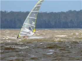 Windsurfing