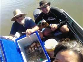 Adventure to Burrum Heads and Surround's