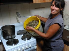 Adventure to Burrum Heads and Surround's