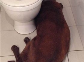 13925015 1607710222862443 6769352874480386325 n