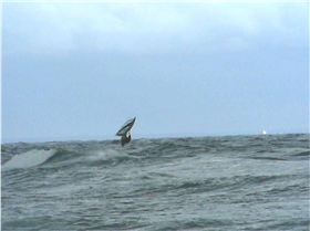 Staffe@mölle 07082007