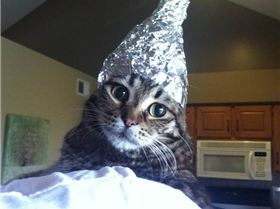 catfoil zpsedefb57b