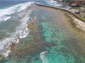 Screen Shot 2017-02-19 at 8.20.24 PM