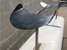 19437261 295898260873017 5338203928064021193 n