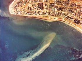 Screen Shot 2017-07-31 at 5.58.02 AM