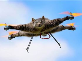 cat drone