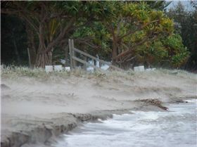 Windy day @ the Shearwater 5-9-07