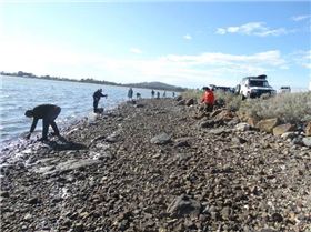 21192346 1429367453766668 8588087974602420099 n