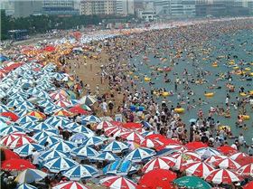 Windsurfing in Korea