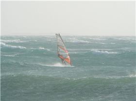 Crazy Day @ Crazy Waves