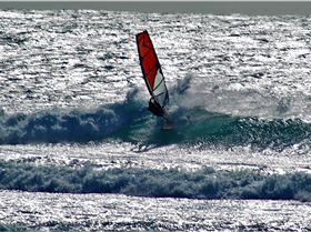 DSC08925.jpg9.jpg3 (2)