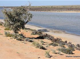 109594 17  TN1000x800